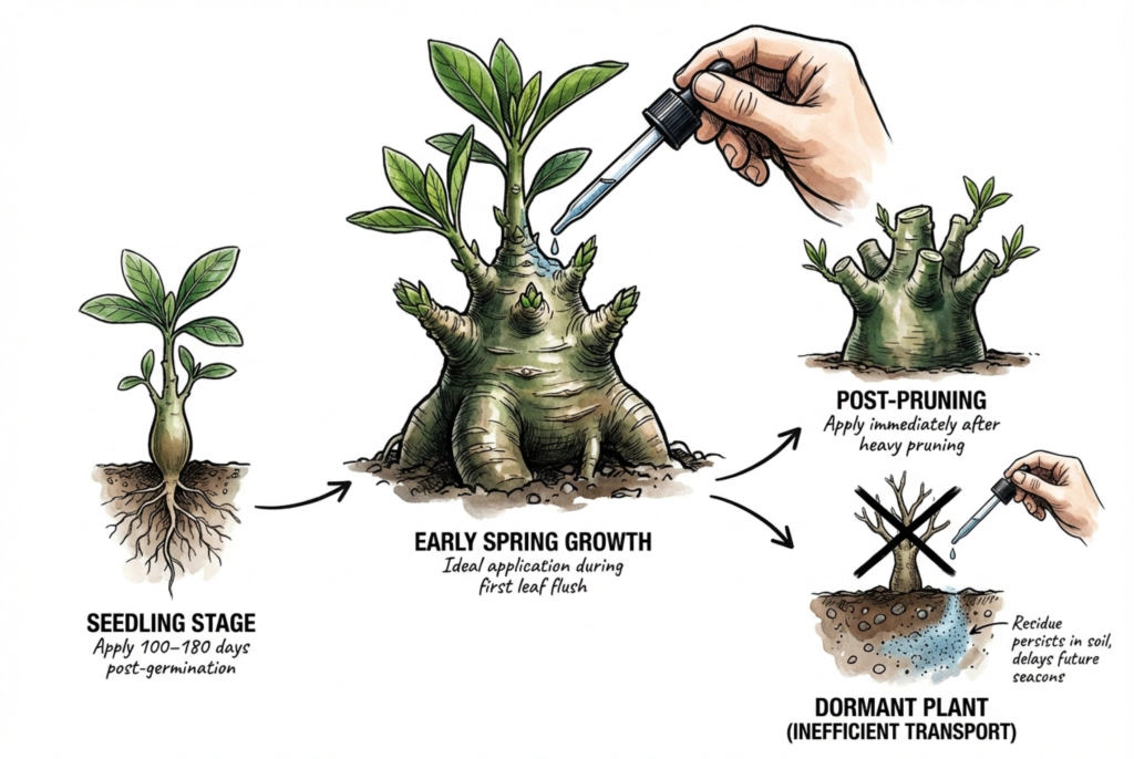 Seasonal calendar showing optimal paclobutrazol application timing in spring growth flush