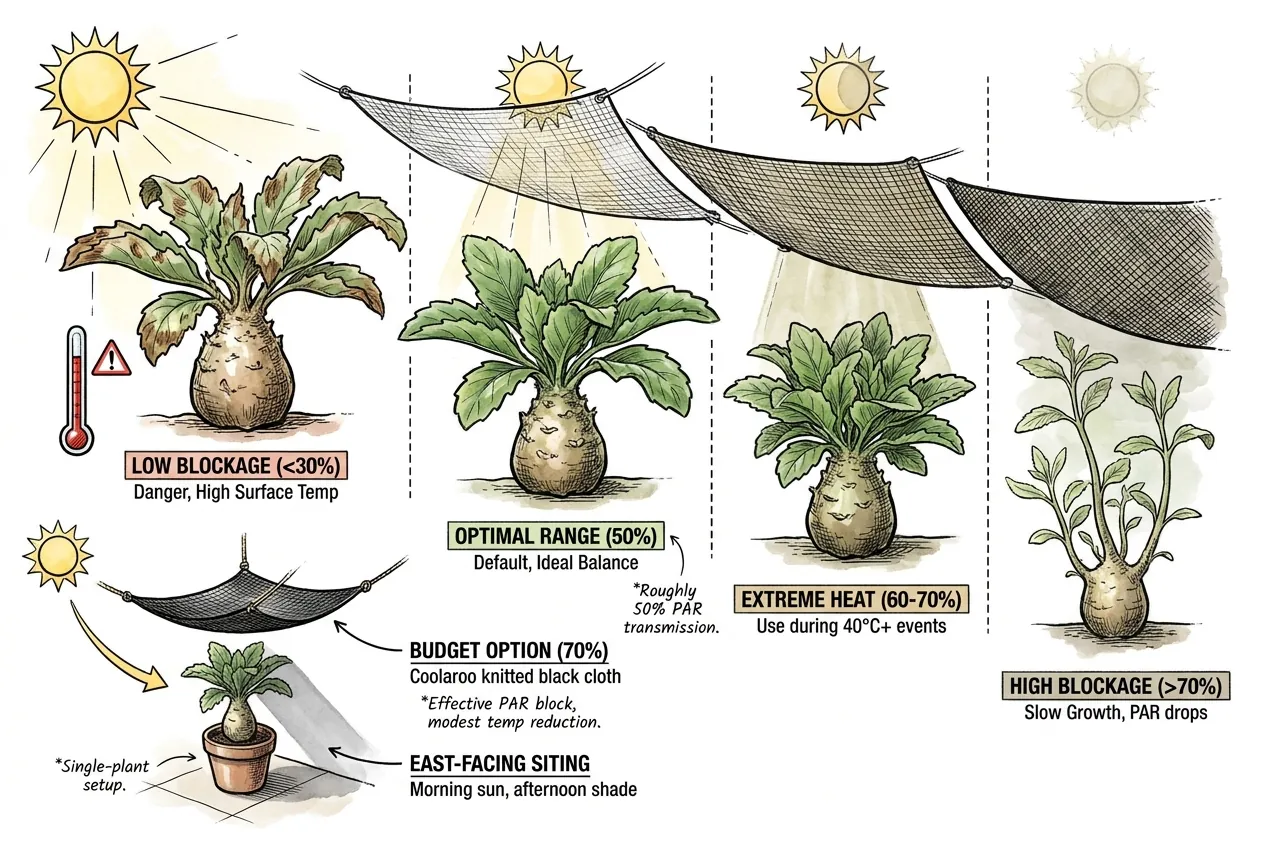 Comparison of 30, 50, and 70 percent shade cloth coverage over caudex specimens.
