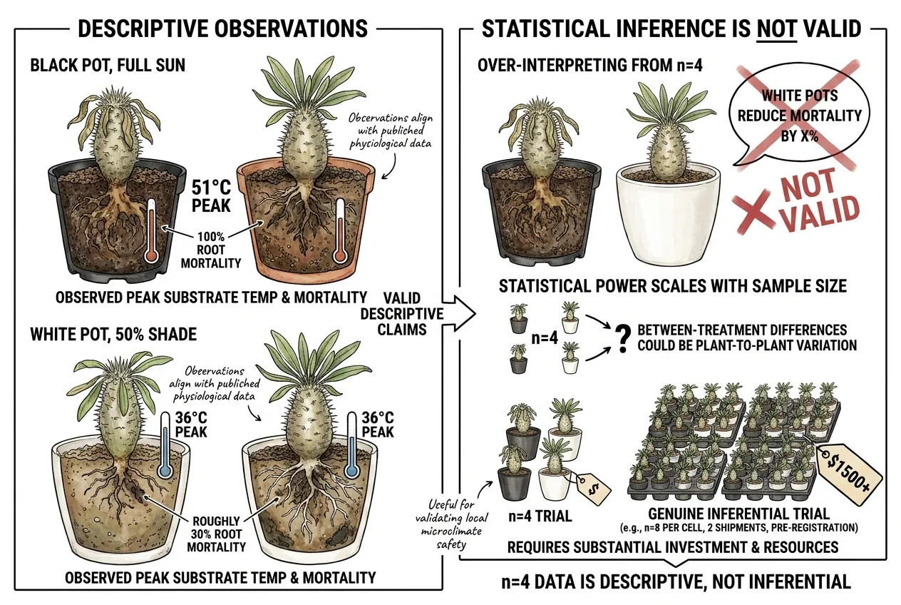 Botanical illustration for: What can n = 4 actually conclude?